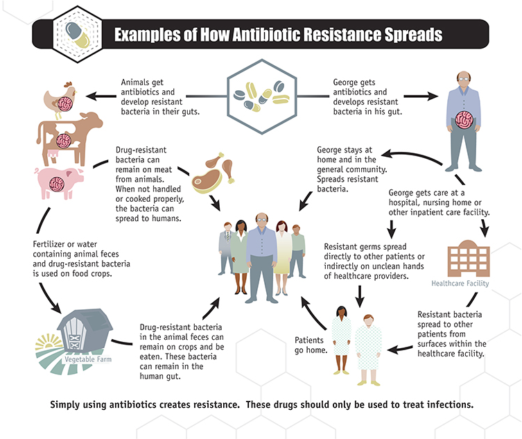 What is Antimicrobial Resistance? 